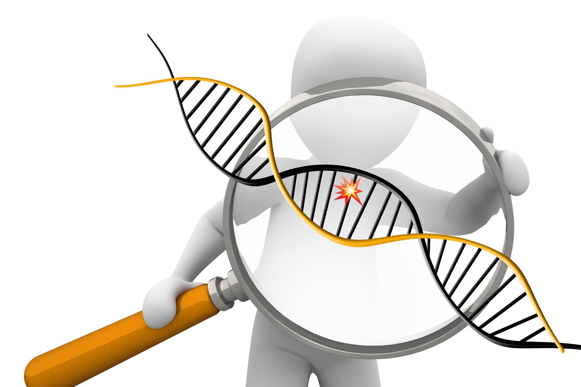 short-tandem-repeats-strs-the-dna-geek