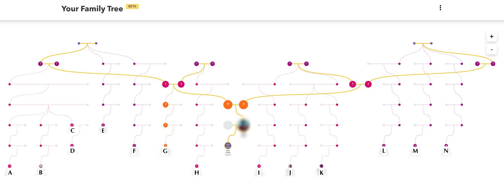 23andMe Introduces The Automated Family Tree – The DNA Geek